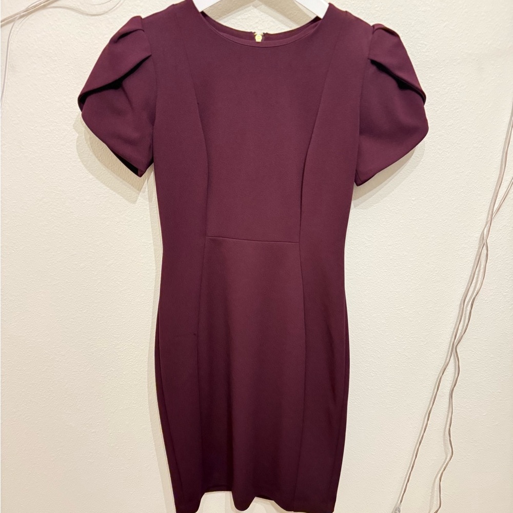Calvin Klein Deep purple Dress- small